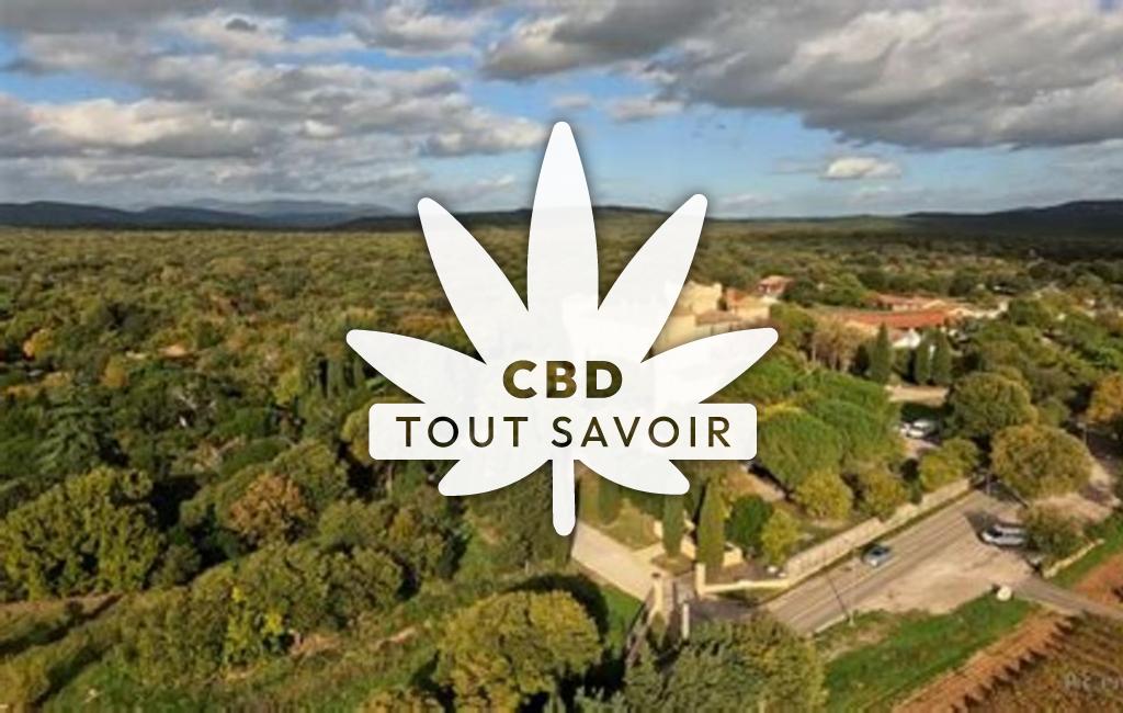 Village à Viols-en-Laval avec feuille Cannabis CBD
