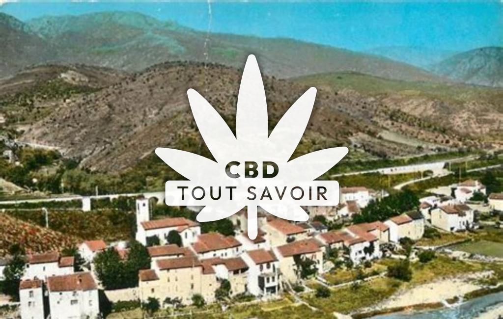 Village à Saint-Etienne-D'Albagnan avec feuille Cannabis CBD