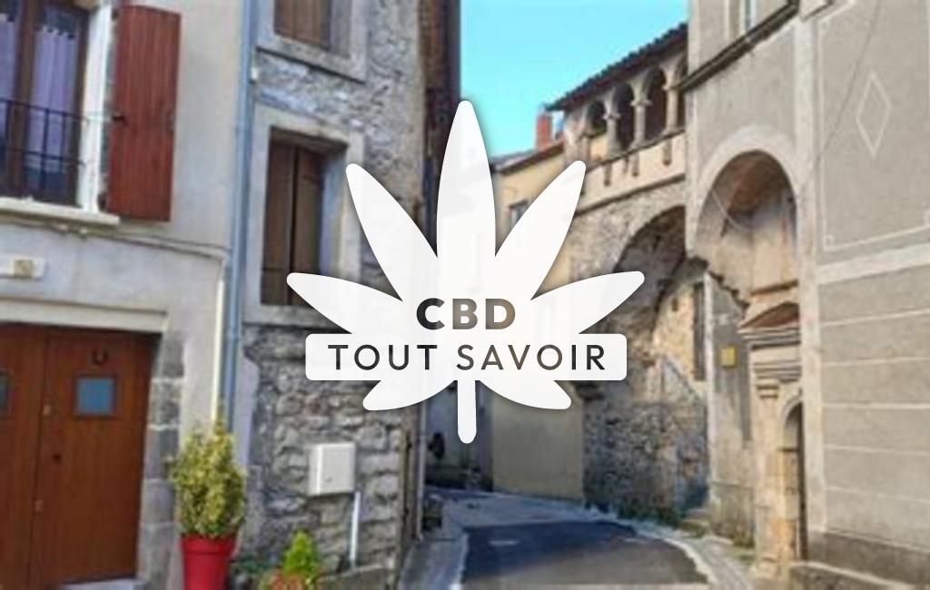 Village à La-Vacquerie-Et-Saint-Martin-de-Castries avec feuille Cannabis CBD