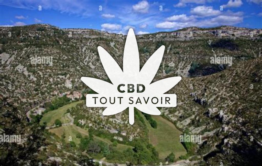 Village à Saint-Maurice-Navacelles avec feuille Cannabis CBD