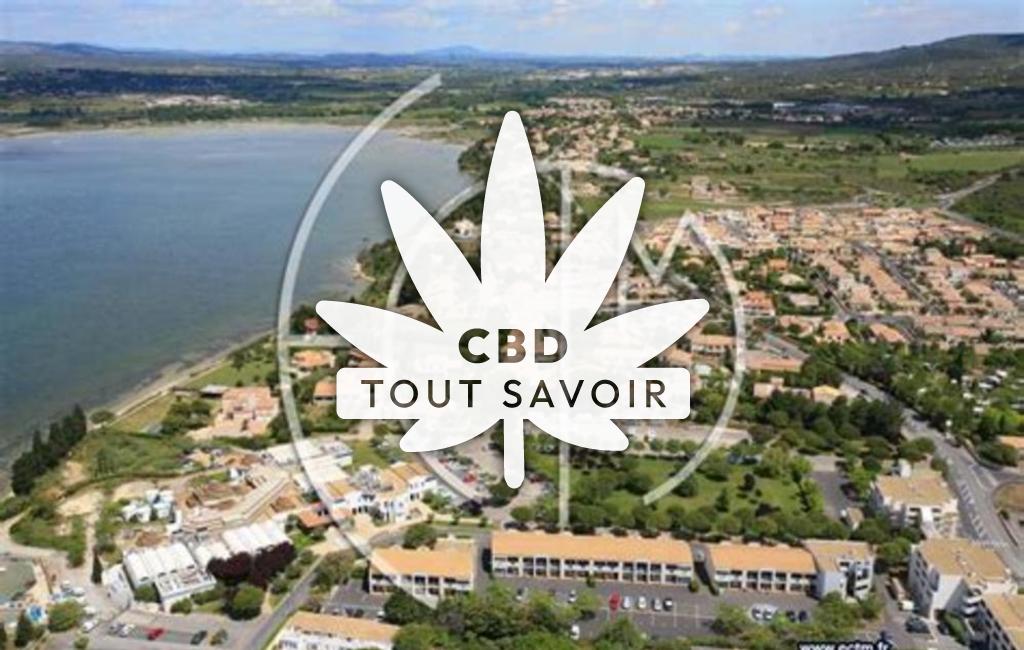 Village à Balaruc-les-Bains avec feuille Cannabis CBD