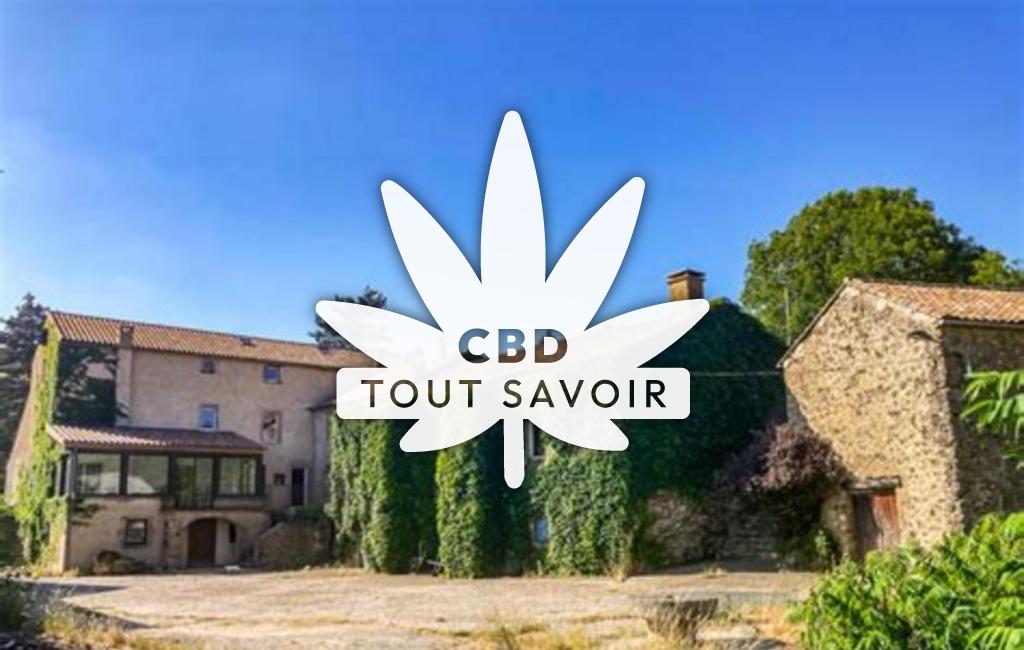 Village à Castanet-le-Haut avec feuille Cannabis CBD