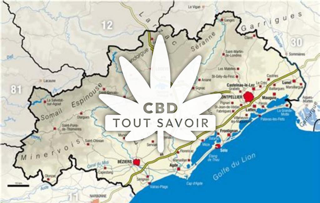 Village à Les-Plans avec feuille Cannabis CBD