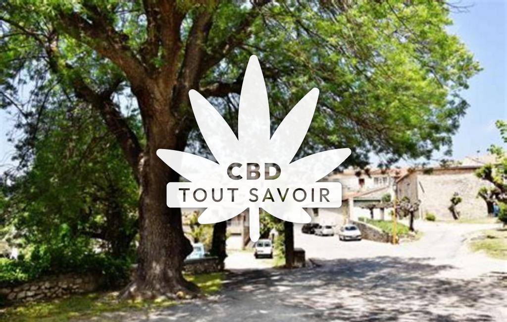 Village à Saint-Vincent-de-Barbeyrargues avec feuille Cannabis CBD