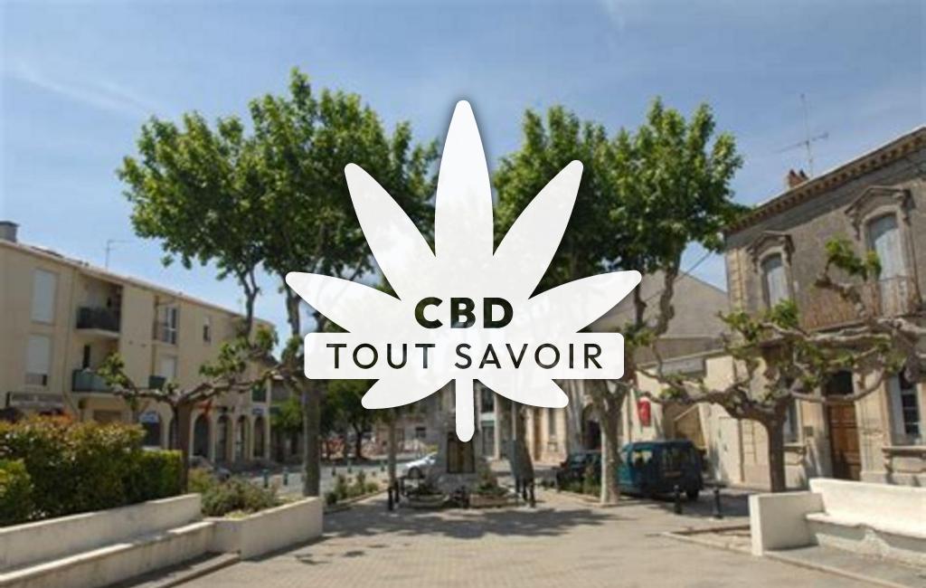 Village à Villeneuve-les-Maguelone avec feuille Cannabis CBD