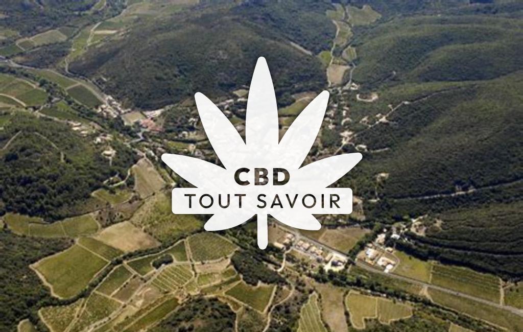 Village à Lieuran-Cabrieres avec feuille Cannabis CBD