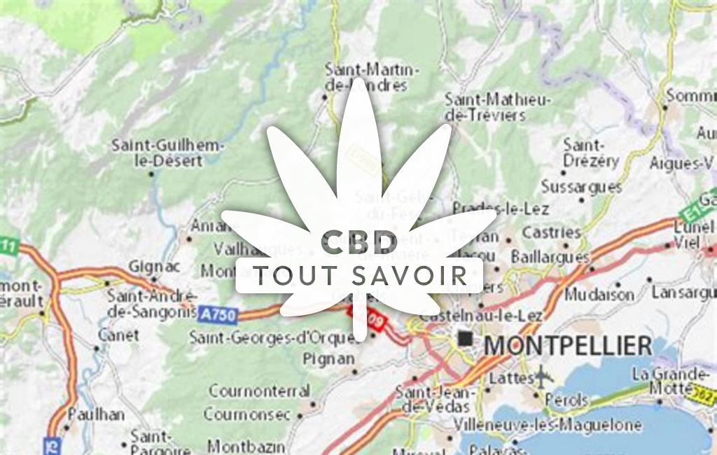 Village à Combaillaux avec feuille Cannabis CBD
