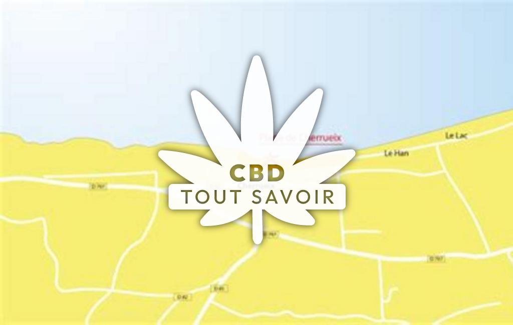 Village à Cherrueix avec feuille Cannabis CBD