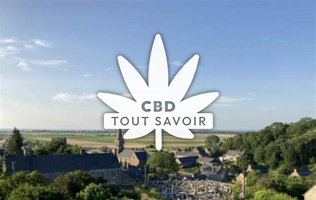Village à Saint-Broladre avec feuille Cannabis CBD