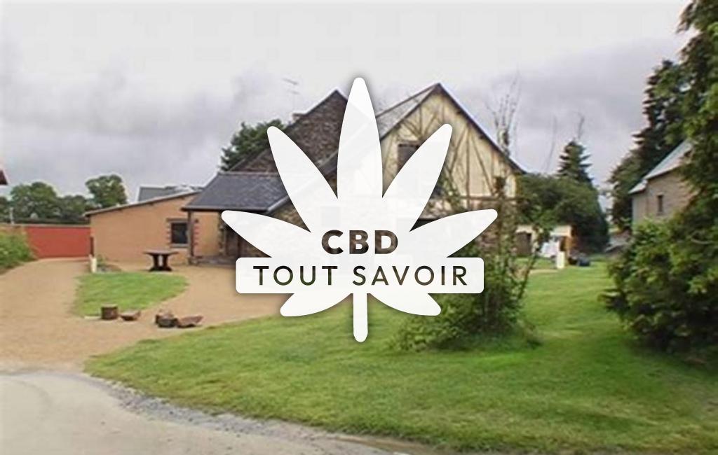 Village à Availles-sur-Seiche avec feuille Cannabis CBD