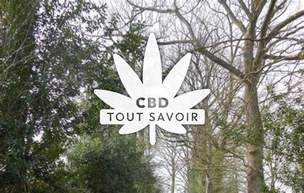 Village à Drouges avec feuille Cannabis CBD