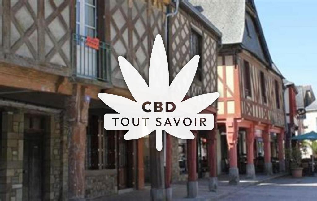 Village à La-Guerche-de-Bretagne avec feuille Cannabis CBD