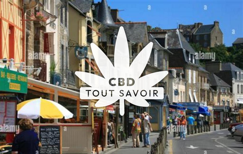 Village à Moutiers avec feuille Cannabis CBD