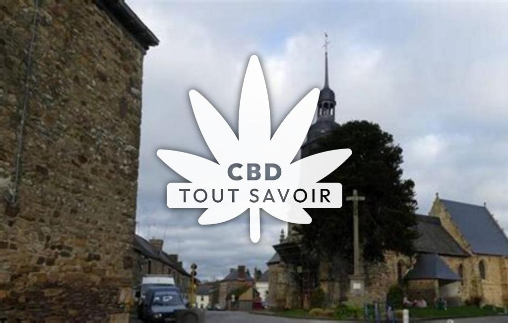 Village à Visseiche avec feuille Cannabis CBD
