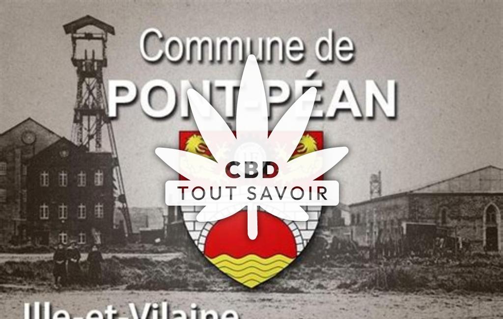 Village à Pont-Pean avec feuille Cannabis CBD