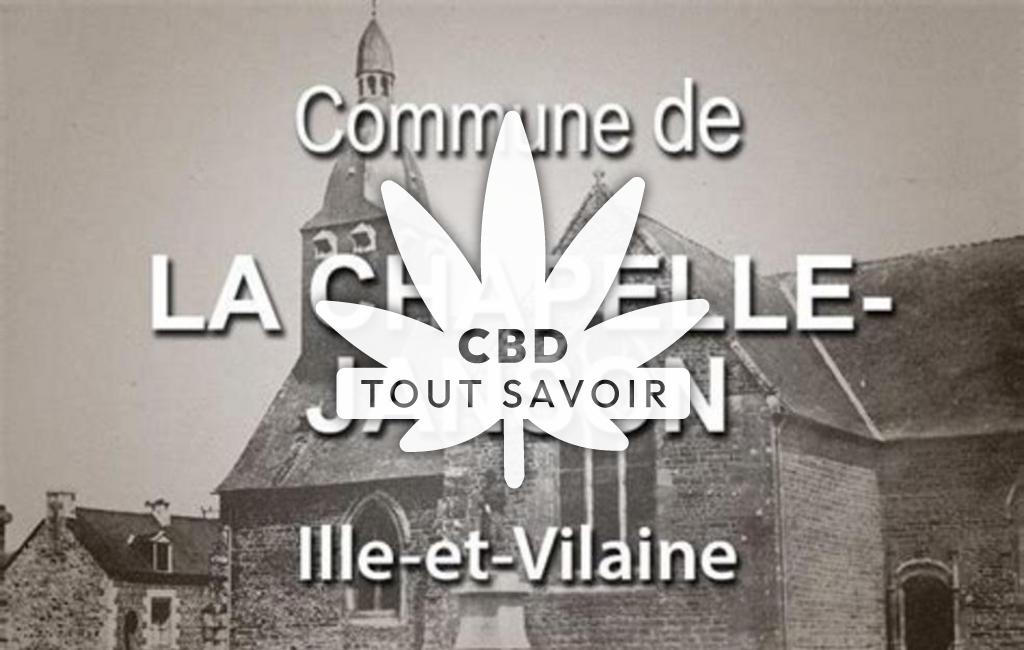 Village à La-Chapelle-Janson avec feuille Cannabis CBD