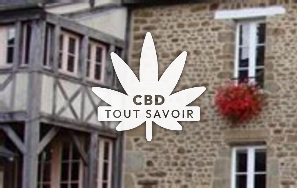 Village à La-Selle-en-Luitre avec feuille Cannabis CBD