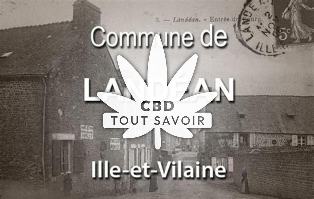 Village à Landean avec feuille Cannabis CBD