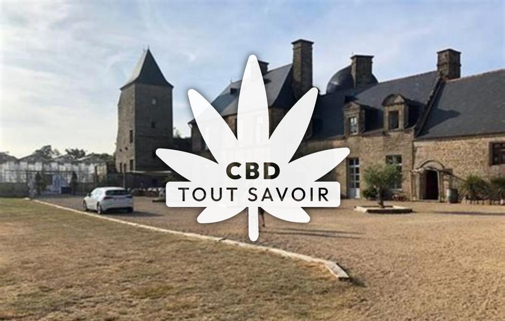 Village à Parigne avec feuille Cannabis CBD