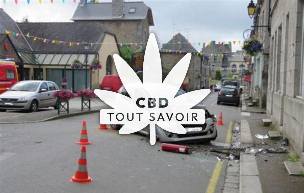 Village à Saint-Germain-en-Cogles avec feuille Cannabis CBD