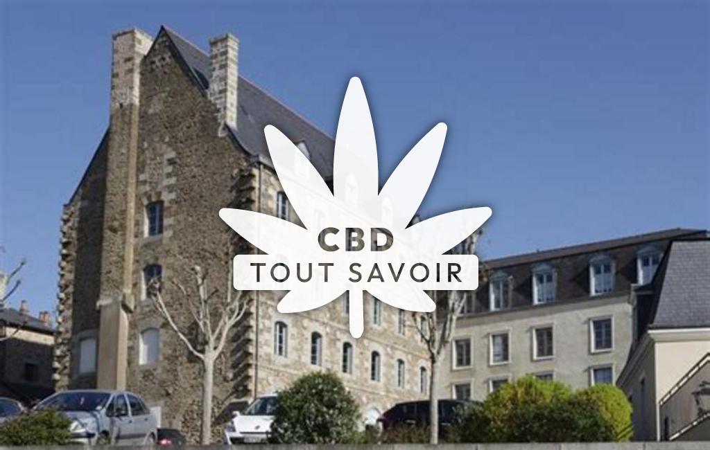 Village à Saint-Sauveur-des-Landes avec feuille Cannabis CBD