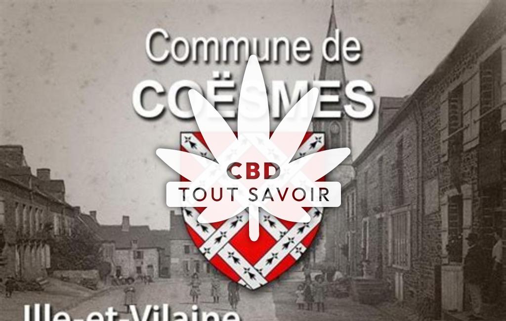 Village à Coesmes avec feuille Cannabis CBD