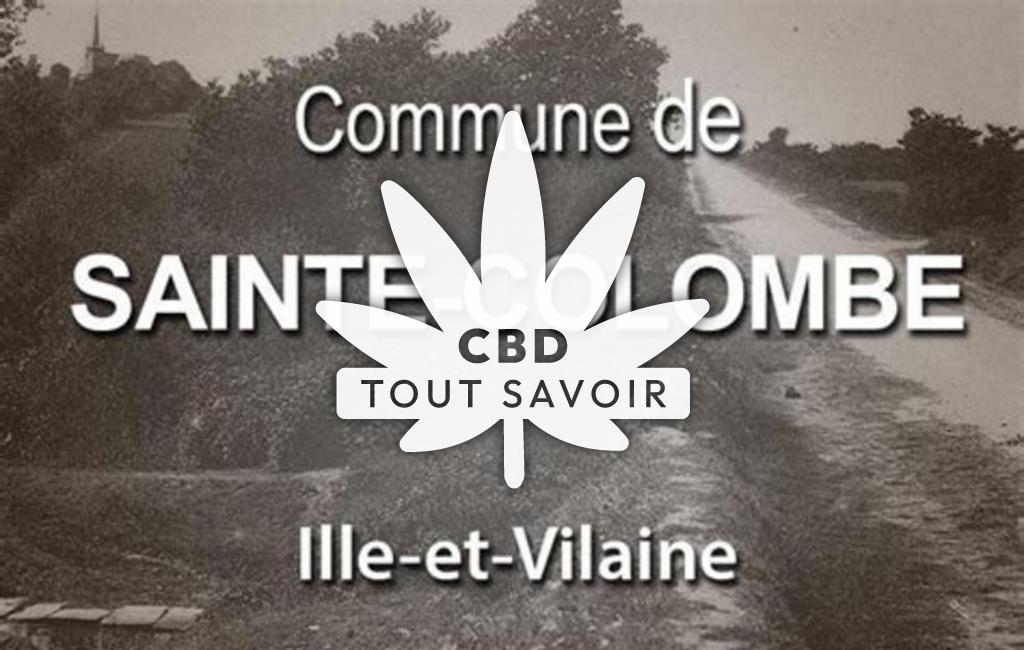 Village à Sainte-Colombe avec feuille Cannabis CBD