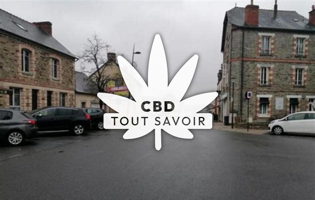 Village à Chantepie avec feuille Cannabis CBD