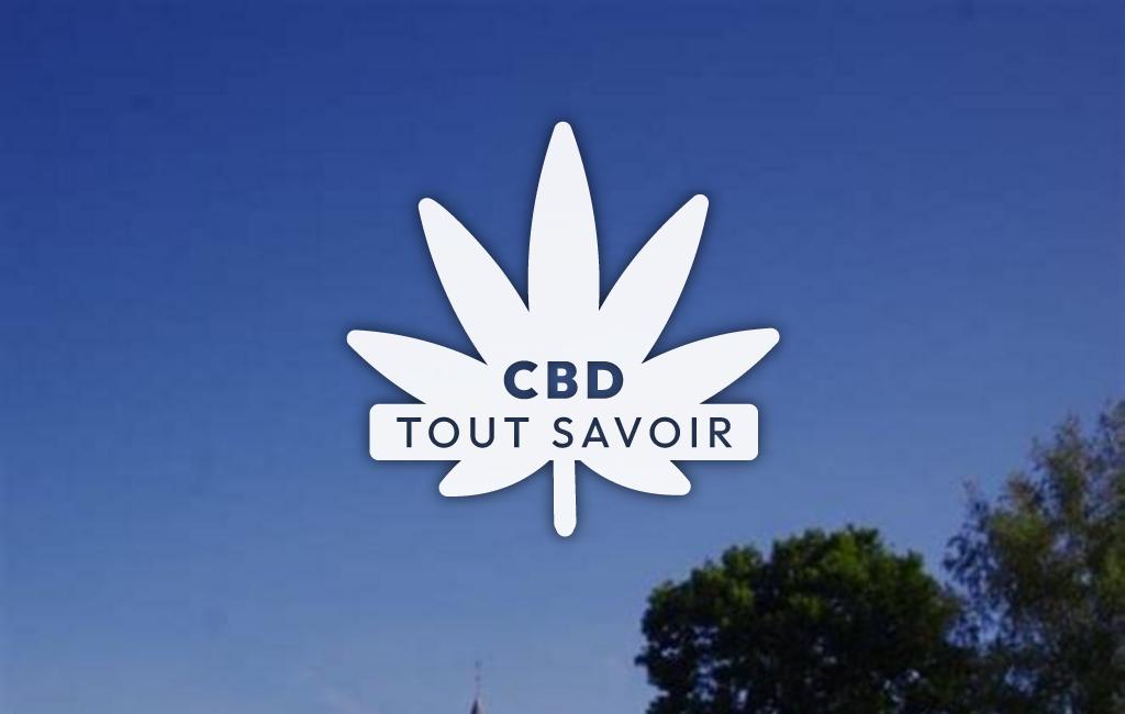Village à La-Nouaye avec feuille Cannabis CBD