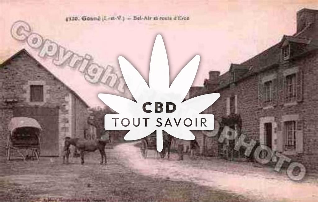 Village à Gosne avec feuille Cannabis CBD