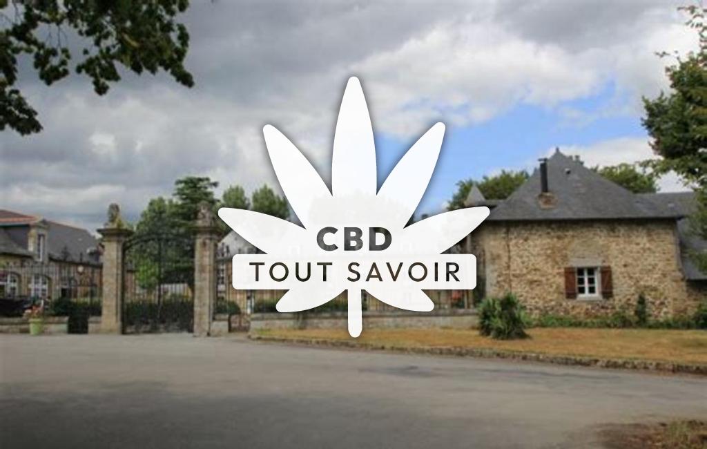 Village à Mezieres-sur-Couesnon avec feuille Cannabis CBD