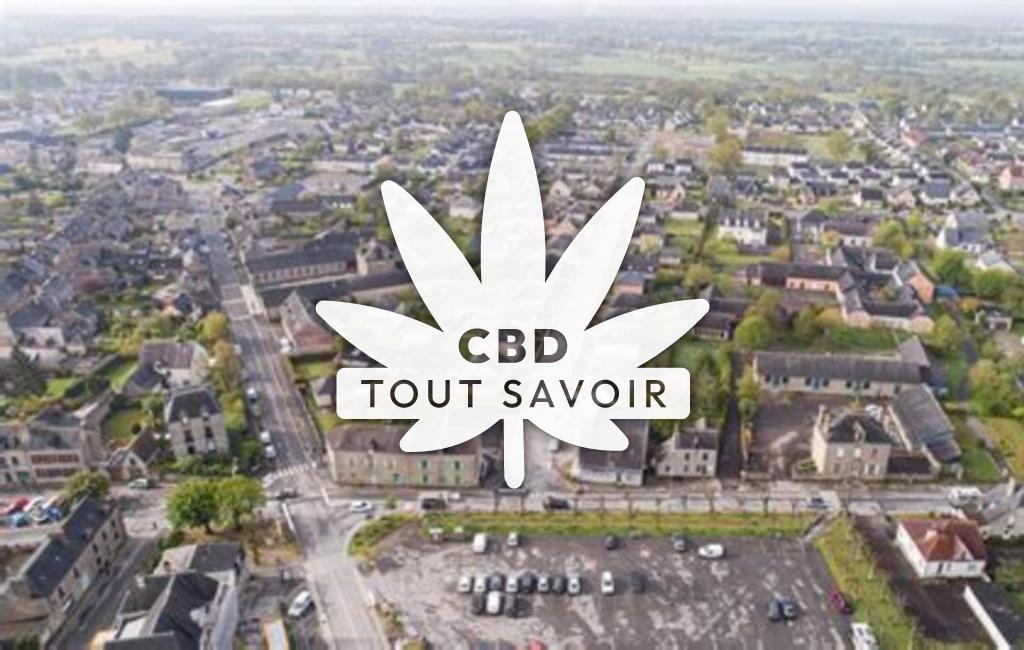 Village à Saint-Aubin-du-Cormier avec feuille Cannabis CBD