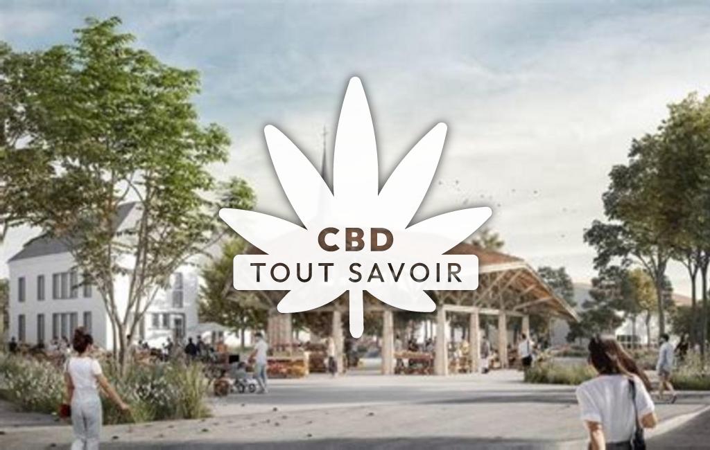 Village à Saint-Hilaire-des-Landes avec feuille Cannabis CBD
