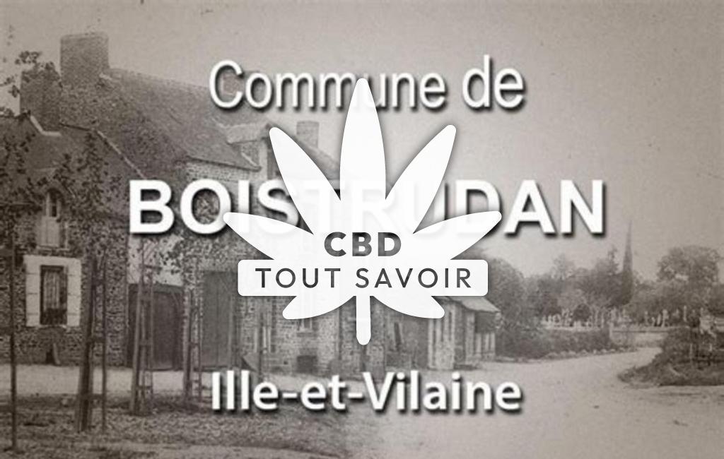 Village à Boistrudan avec feuille Cannabis CBD