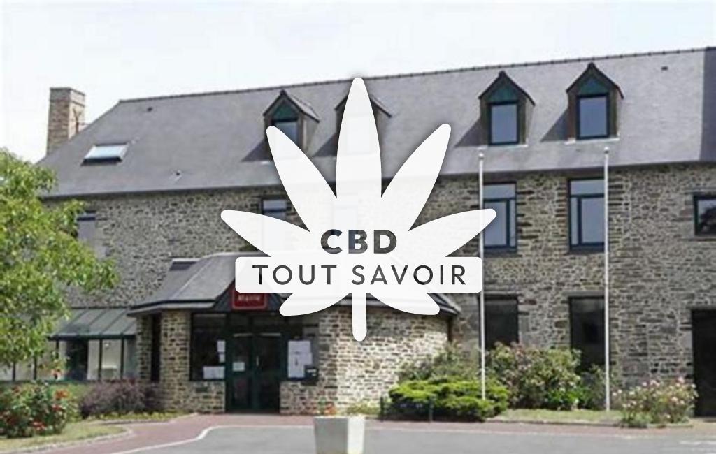 Village à Chanteloup avec feuille Cannabis CBD