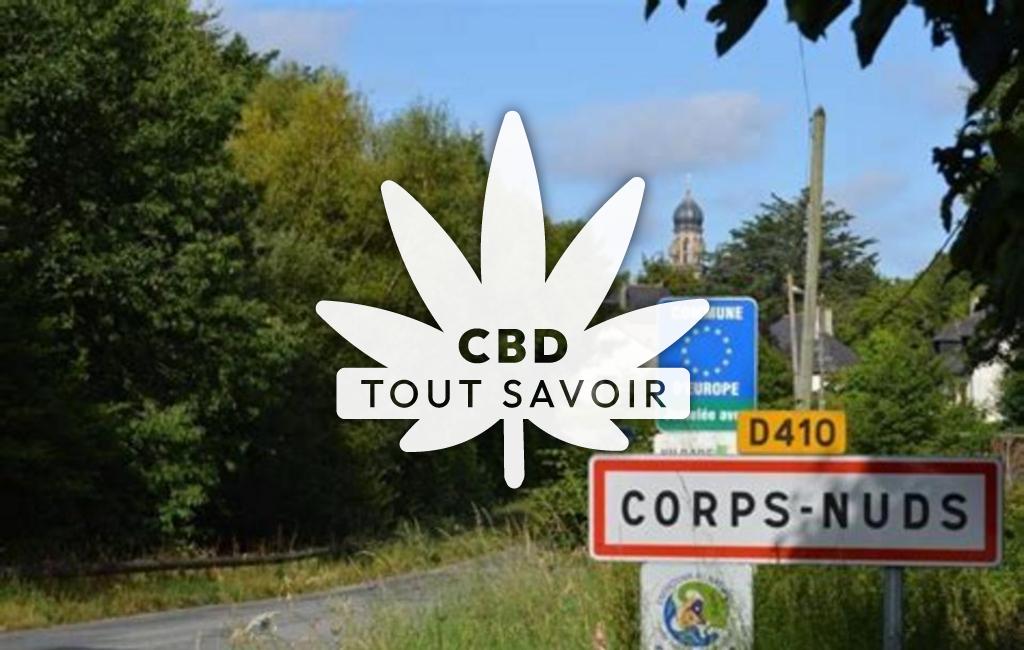 Village à Corps-Nuds avec feuille Cannabis CBD