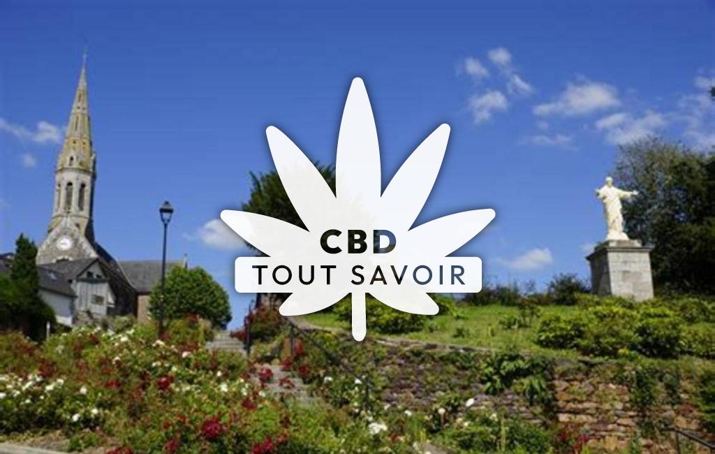 Village à Monterfil avec feuille Cannabis CBD