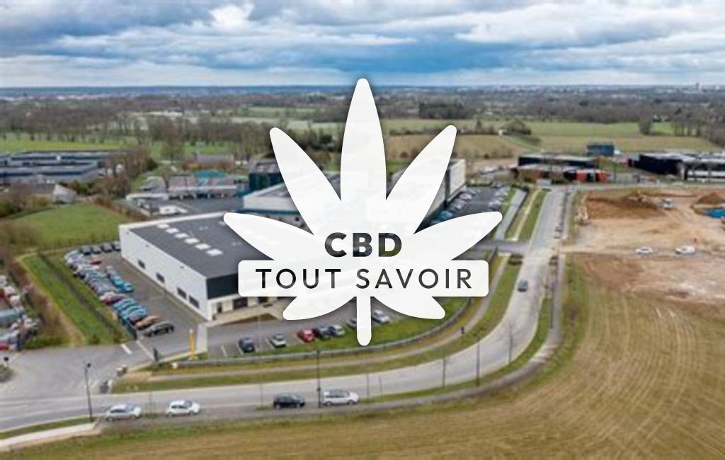 Village à Longaulnay avec feuille Cannabis CBD