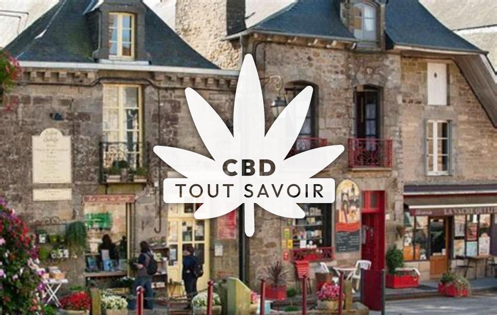 Village à Miniac-sous-Becherel avec feuille Cannabis CBD