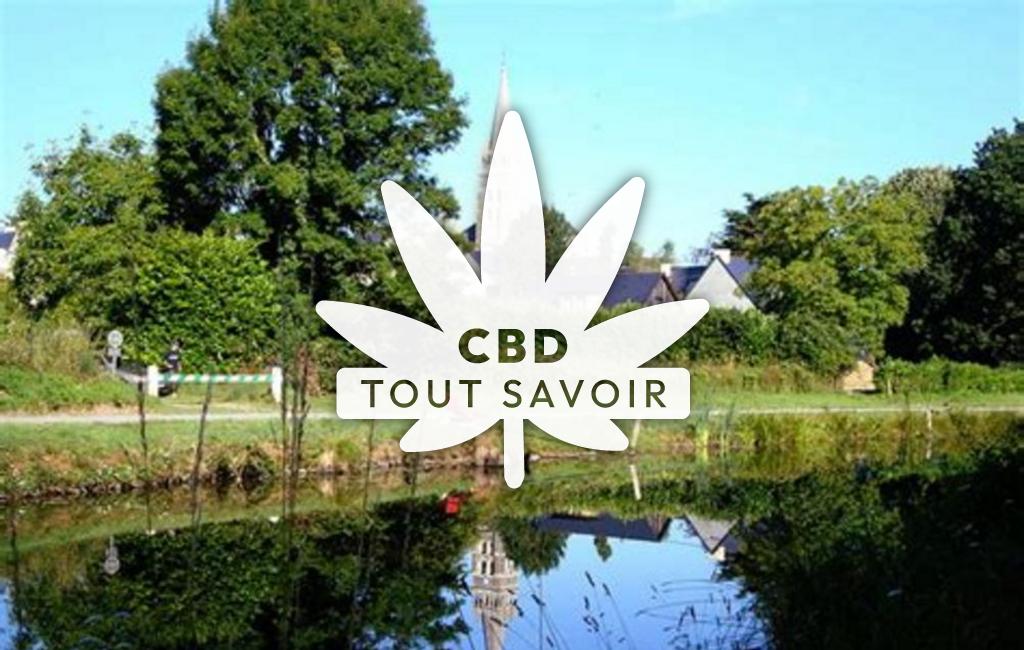 Village à Tinteniac avec feuille Cannabis CBD
