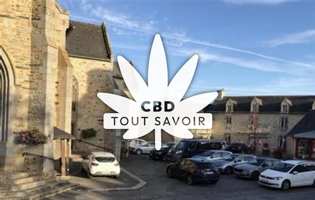 Village à Chatillon-en-Vendelais avec feuille Cannabis CBD