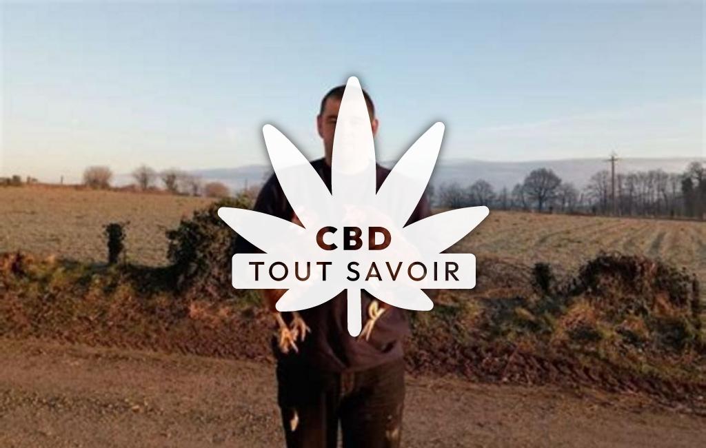 Village à Prince avec feuille Cannabis CBD
