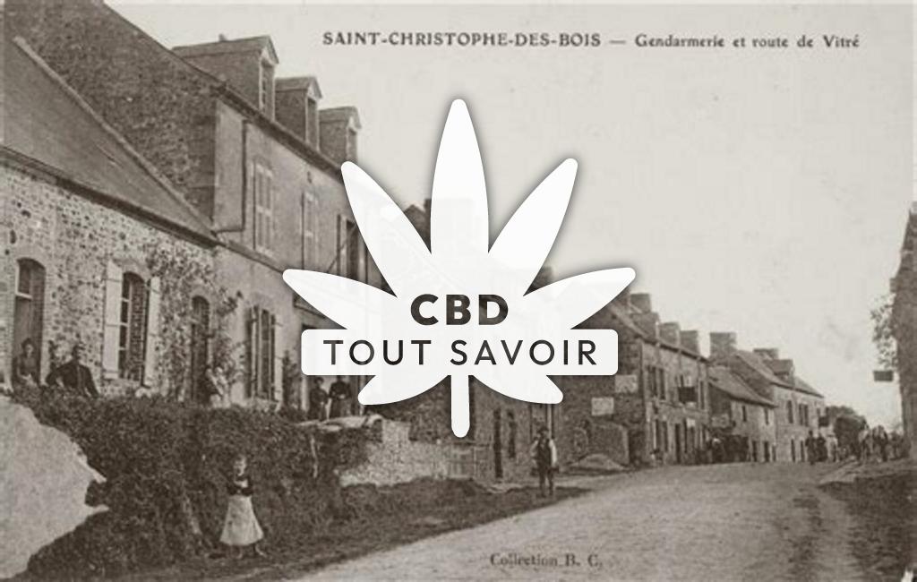 Village à Saint-Christophe-des-Bois avec feuille Cannabis CBD