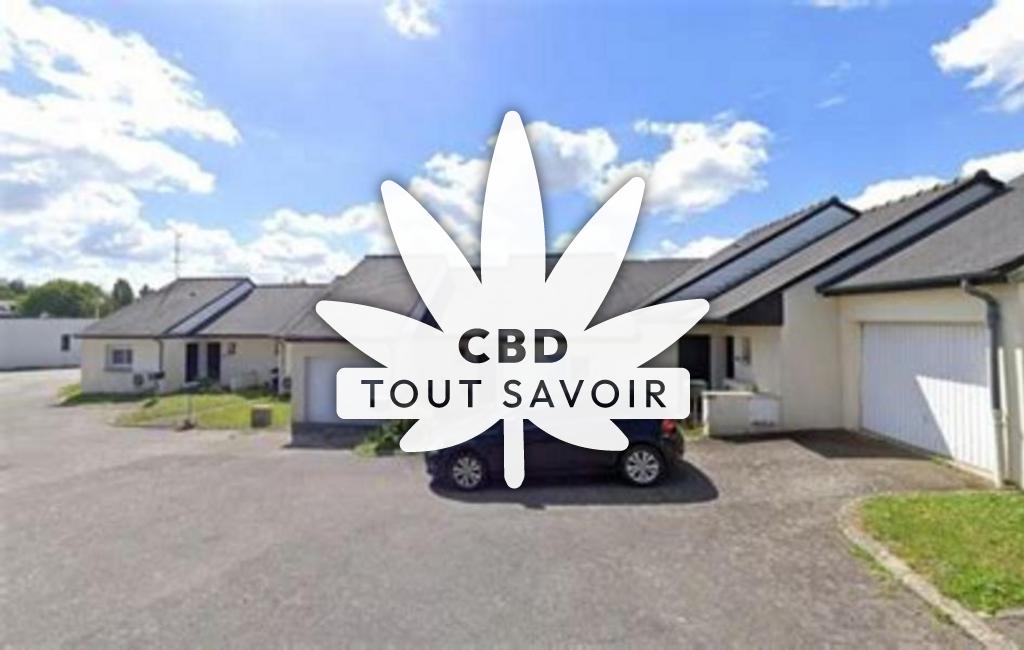 Village à Saint-Didier avec feuille Cannabis CBD
