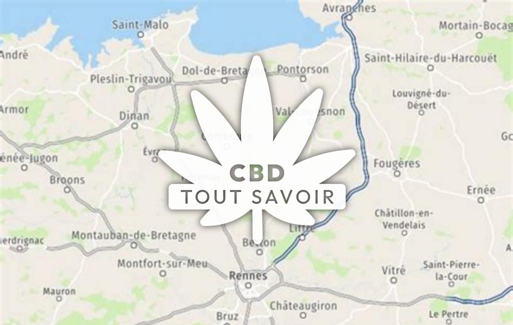Village à Saint-Jean-sur-Vilaine avec feuille Cannabis CBD
