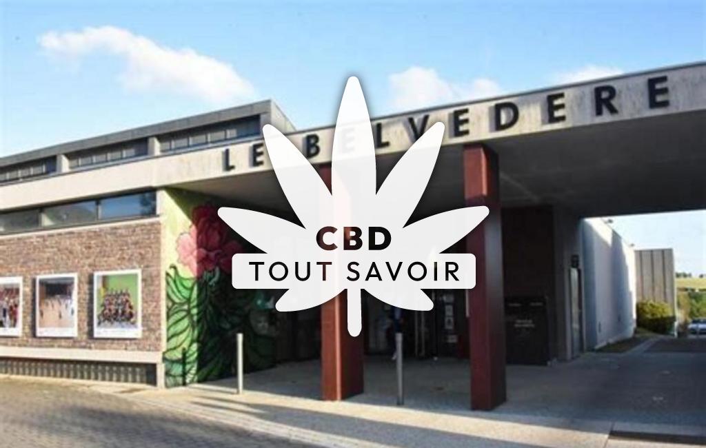 Village à Orgeres avec feuille Cannabis CBD