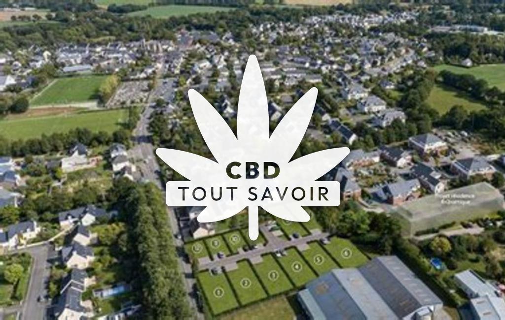 Village à Saint-Erblon avec feuille Cannabis CBD