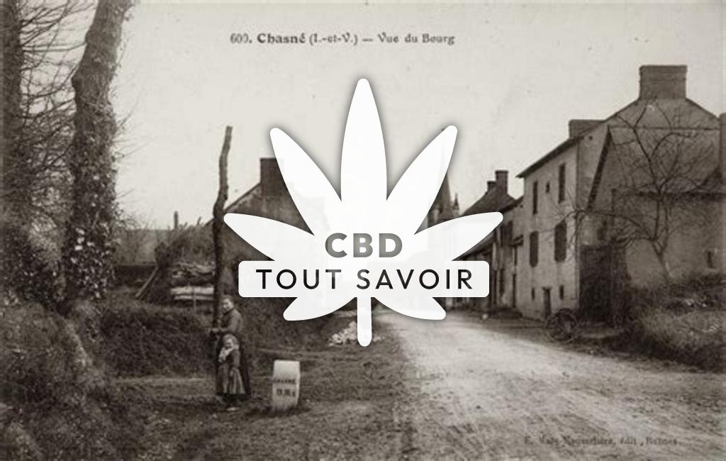 Village à Chasne-sur-Illet avec feuille Cannabis CBD