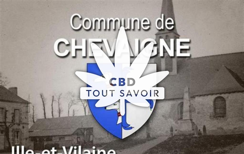 Village à Chevaigne avec feuille Cannabis CBD