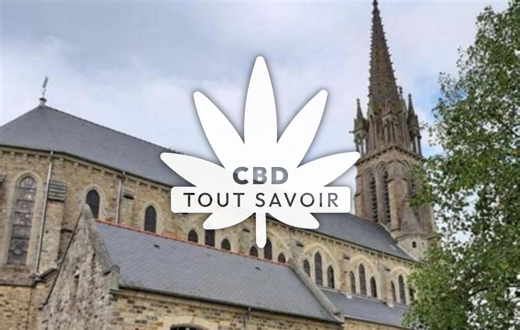 Village à Saint-Aubin-D'Aubigne avec feuille Cannabis CBD